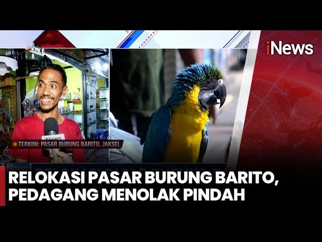 Pedagang Pasar Burung Barito Tolak Relokasi, Sebut Belum Ada Kepastian Lokasi Pengganti