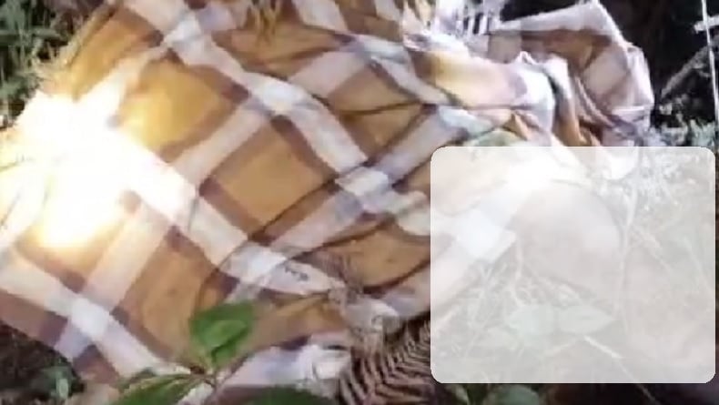 Petani di Lampung Barat Ditemukan Tewas Diduga Diserang Harimau, Tubuh Tak Utuh