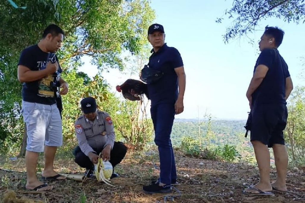 Penggerebekan Judi Sabung di Sampang, Pelaku Kabur Tinggalkan Ayam Luka Parah