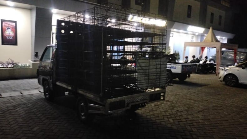 Tabrak Lari Tewaskan Pemotor di Sumenep, Sopir Pikap L 300 Ditangkap