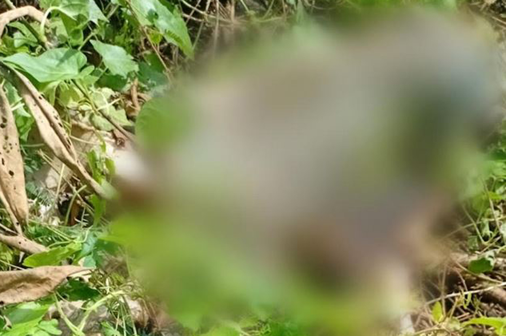 Malang Geger! Mayat Tersisa Kerangka Tulang Belulang Ditemukan di Lahan Kosong