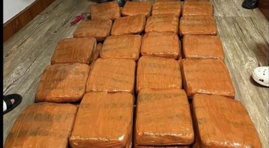 Polda Lampung Gagalkan Penyelundupan Ganja 40 Kg asal Padang, 1 Orang Ditangkap