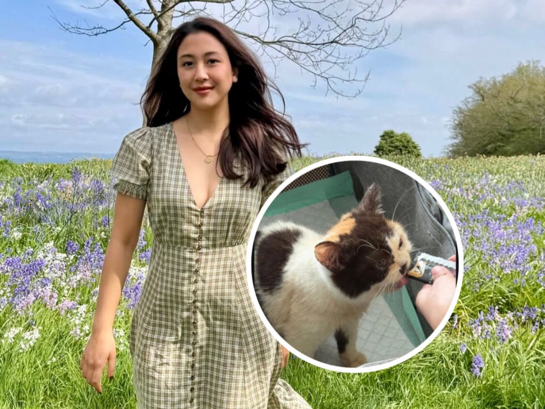 Viral Sherina Munaf Rescue Kucing Uya Kuya, Kondisi Anabul Jadi Sorotan