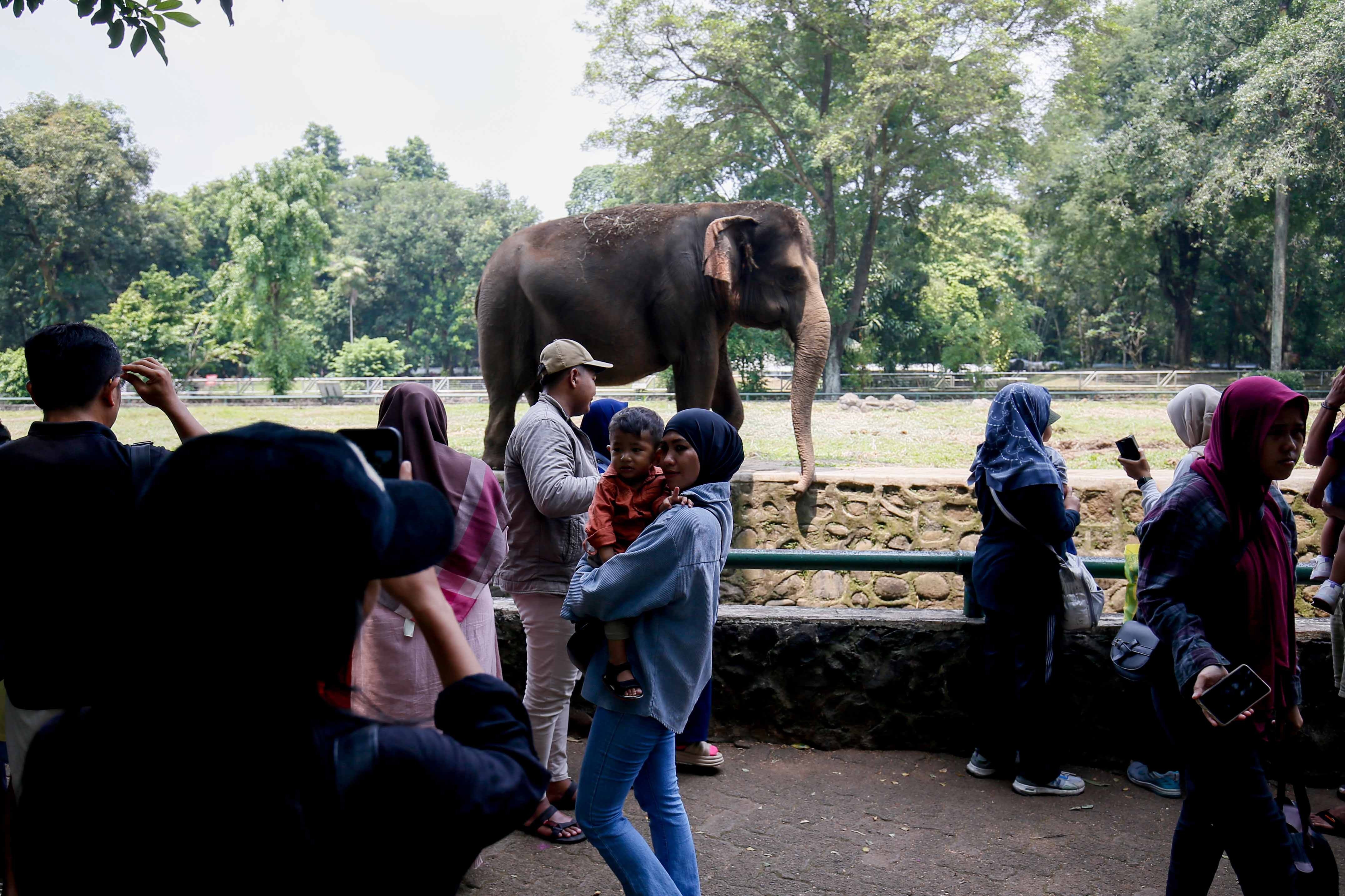 Taman Margasatwa Ragunan Buka hingga Malam, Kamera CCTV Ditambah