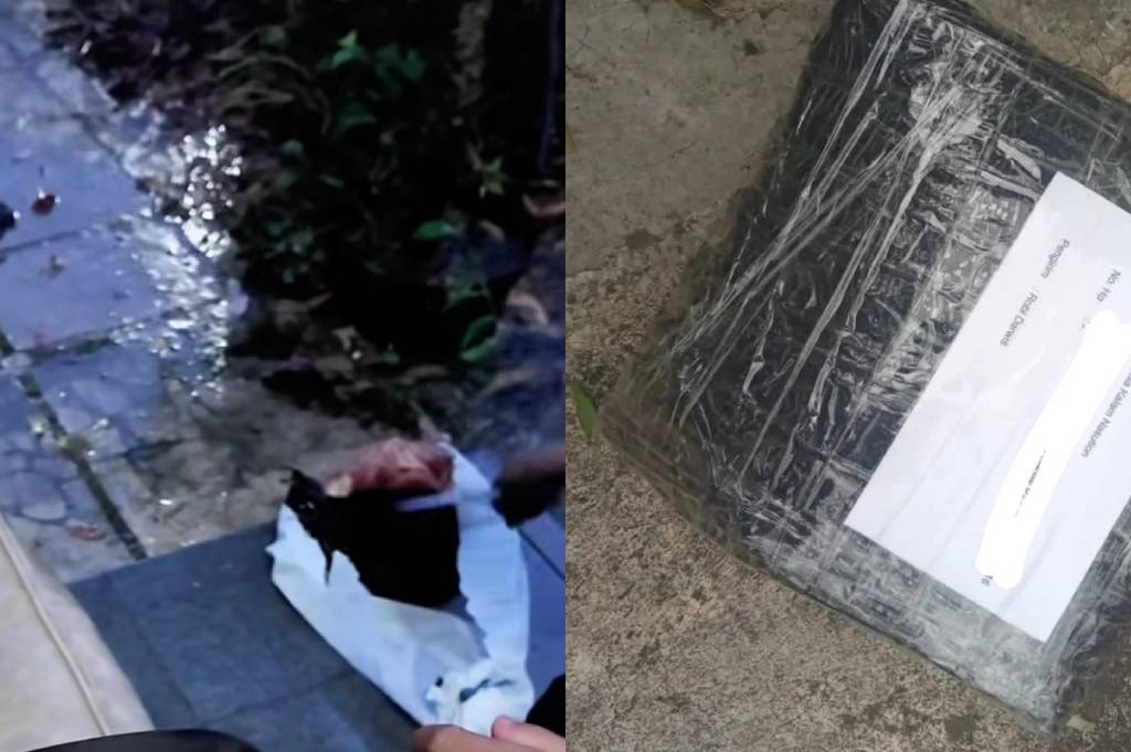 Ngeri! Kreator Konten di Bogor Dapat Teror Kepala Babi