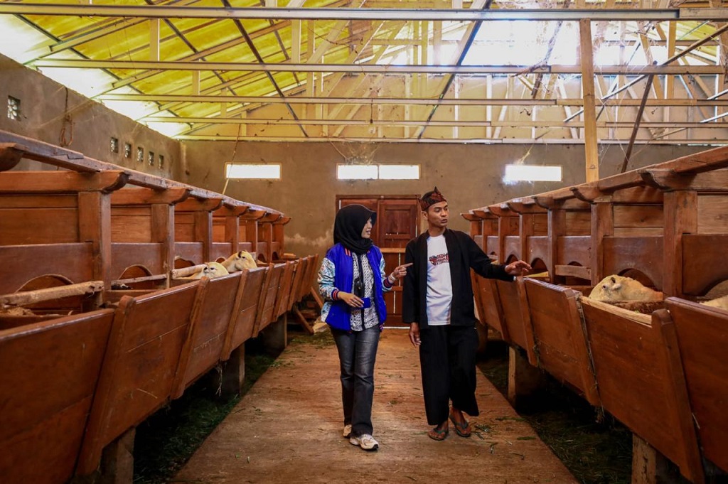 Dorong Ekonomi Kerakyatan, BRI Salurkan KUR Rp114,28 Triliun kepada 2,5 Juta UMKM hingga Agustus 2025