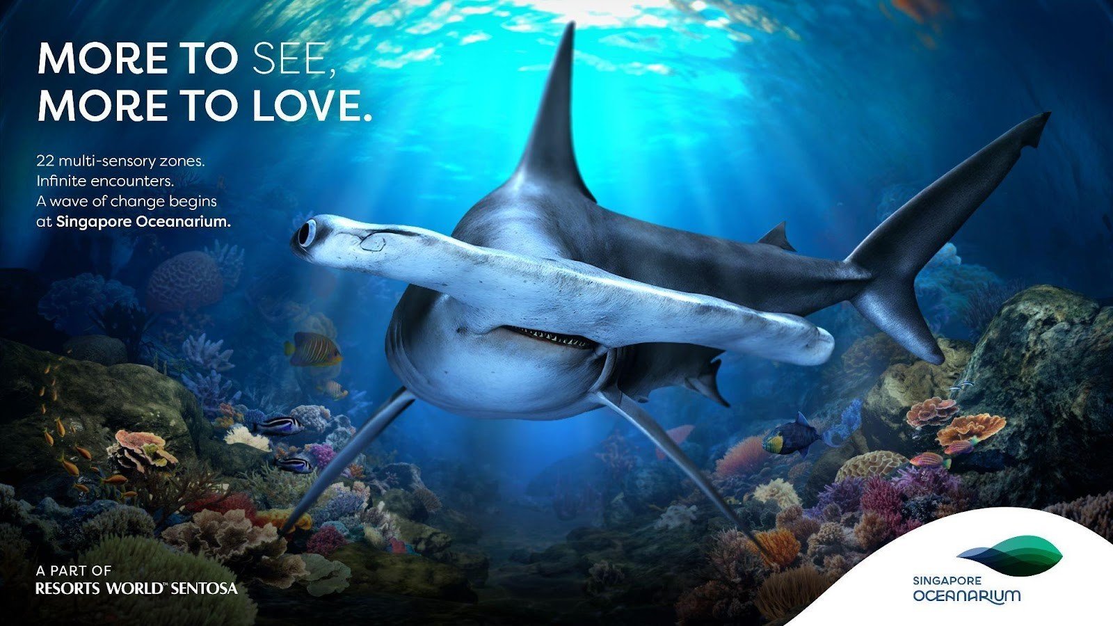 Menyusuri Keindahan Singapore Oceanarium, Wisata Edukatif untuk Liburan Keluarga