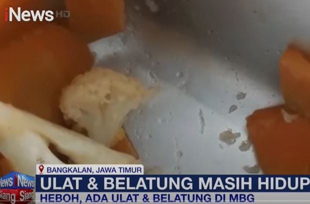 Heboh! Ulat dan Belatung Muncul di Menu MBG  Bangkalan, Siswa SD Trauma