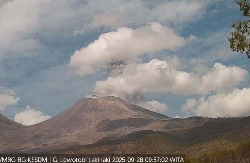 Gunung Lewotobi Laki-laki Meletus Hari Ini, Semburkan Abu Vulkanik 1.200 Meter