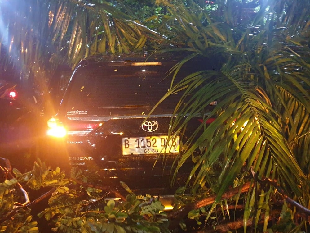 Hujan Deras, Pohon Tumbang Timpa 2 Mobil di Semanggi