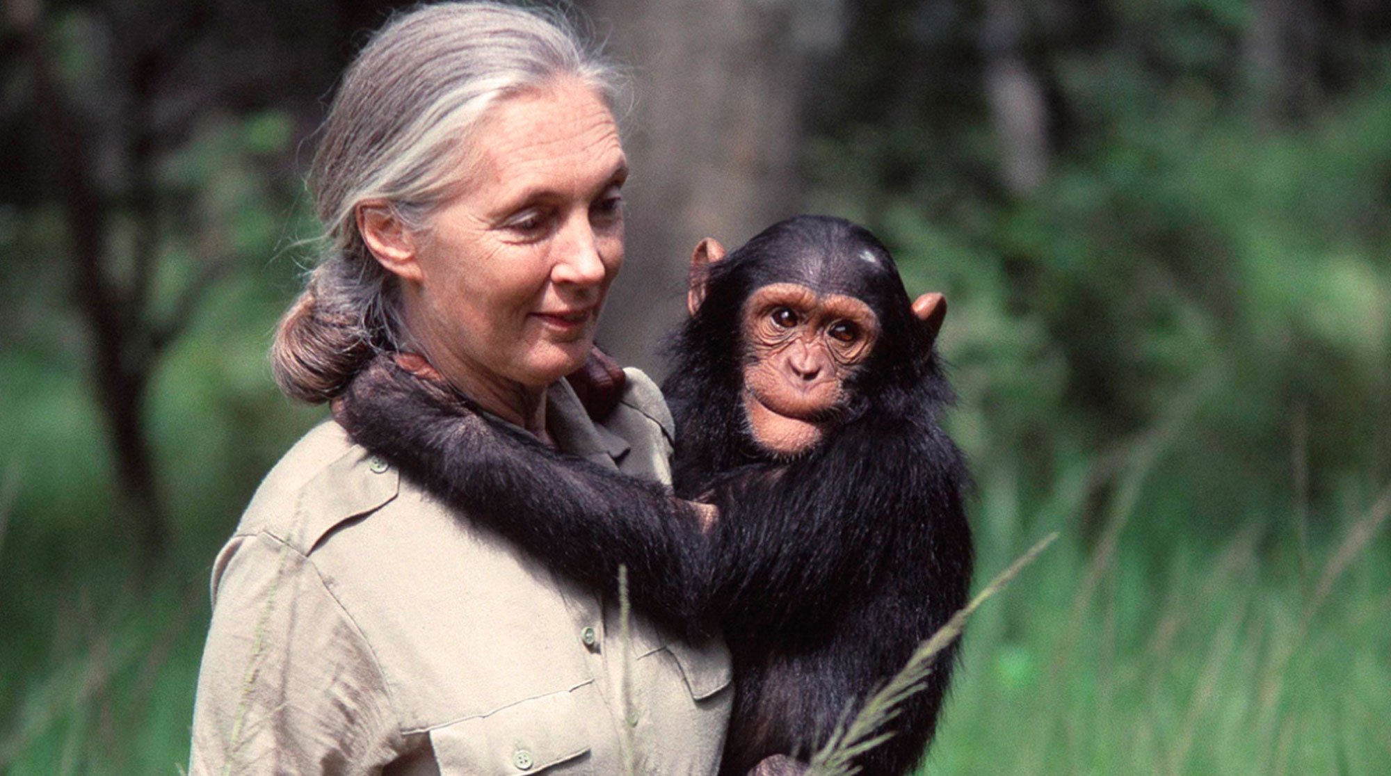 Pemimpin Dunia Berduka Cita Jane Goodall Meninggal, Barack Obama hingga Mark Carney