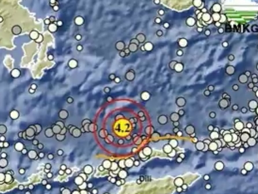 Gempa Hari Ini M 4,2 Guncang Alor NTT, BMKG: Tidak Berpotensi Tsunami 