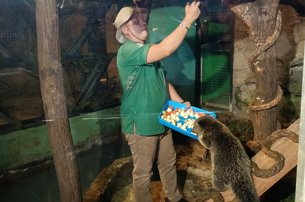 Ragunan Buka Sampai Malam, Tak Semua Satwa Bisa Dilihat Pengunjung