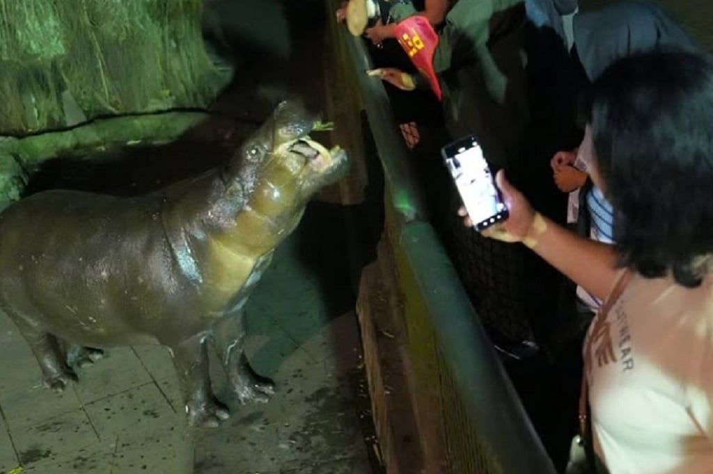Wisata Malam Ragunan Ternyata Masih Diminati, Jumlah Pengunjung Meningkat