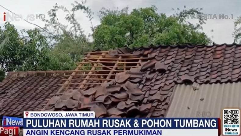 Angin Kencang dan Hujan Deras Terjang Bondowoso, Puluhan Rumah Rusak