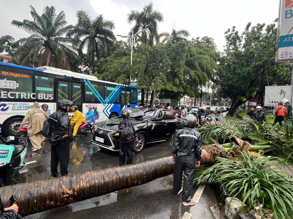 5.000 Pohon di Jakarta bakal Dipasang Penyangga Cegah Tragedi Tumbang Terulang