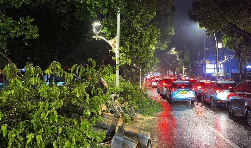 Lalin Jalan Dharmawangsa Jaksel Macet Total usai Pohon Tumbang Timpa 5 Mobil