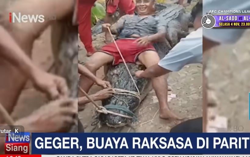 Geger Buaya Raksasa 7 Meter dan Berat 1 Ton di Inhil Riau, Begini Penampakannya