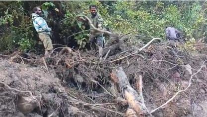 Identitas 15 Orang Hilang Disapu Banjir Bandang dan Longsor di Nduga Papua