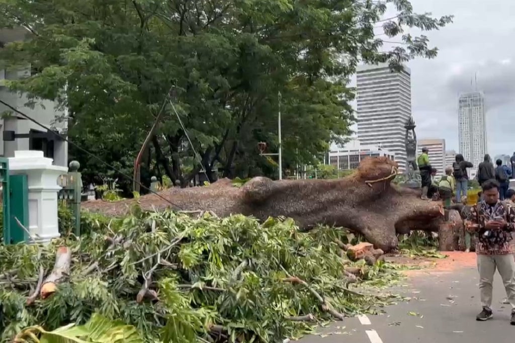 Pohon Tumbang di Dekat Bundaran Senayan, Jalur Blok M Arah Sudirman Ditutup Sementara