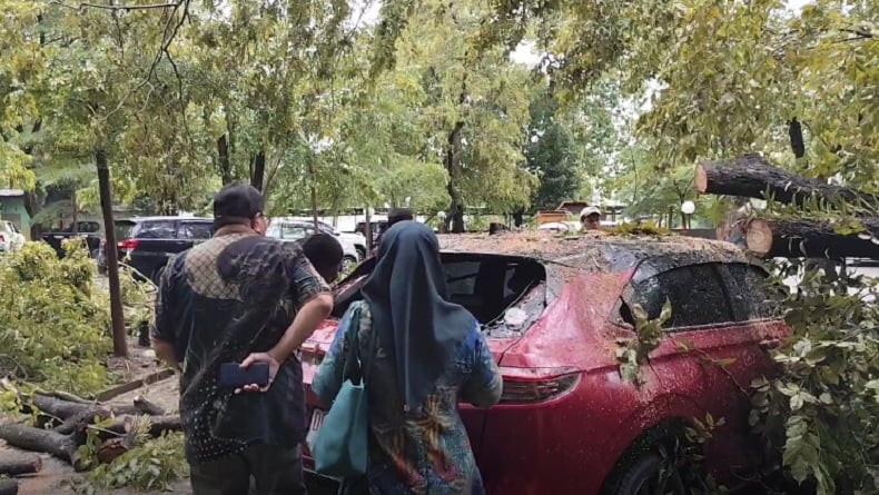 Hujan Disertai Angin Kencang, Pohon Besar Tumbang Timpa 4 Mobil di Kantor Gubernur Sulsel 