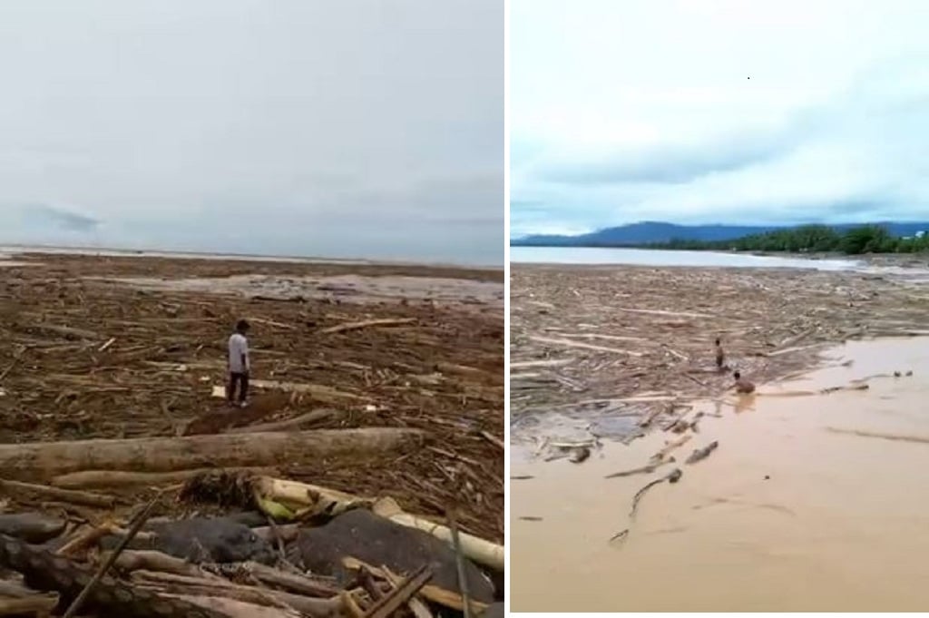 Viral Penampakan Gelondongan Kayu usai Banjir Bandang di Pantai Padang, Punya Siapa?