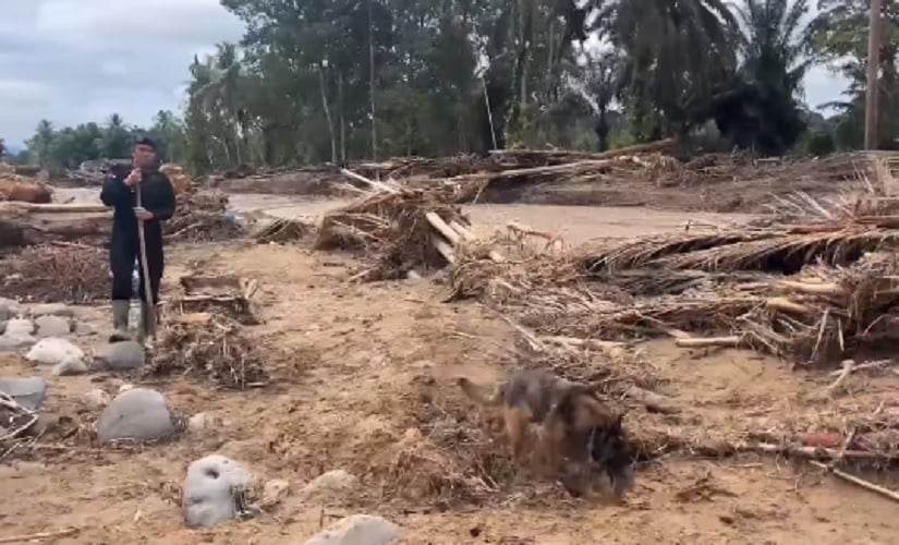 Polda Sumut Kerahkan Anjing K-9 untuk Cari Korban Banjir dan Longsor di Tapteng-Sibolga