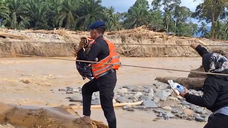 Evakuasi Berlangsung Dramatis, Brimob Polda Sumut Gendong Bayi Tembus Arus Deras Sungai