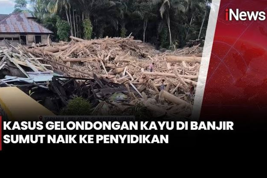 Kasus Kayu Gelondongan Terseret Banjir di Sumut Naik Penyidikan, Ini Temuan di TKP
