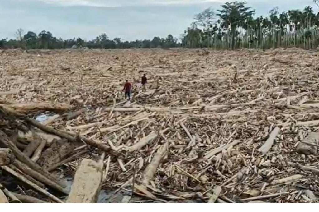 Desa di Aceh Utara Tertimbun Ribuan Ton Kayu Gelondongan usai Banjir Bandang