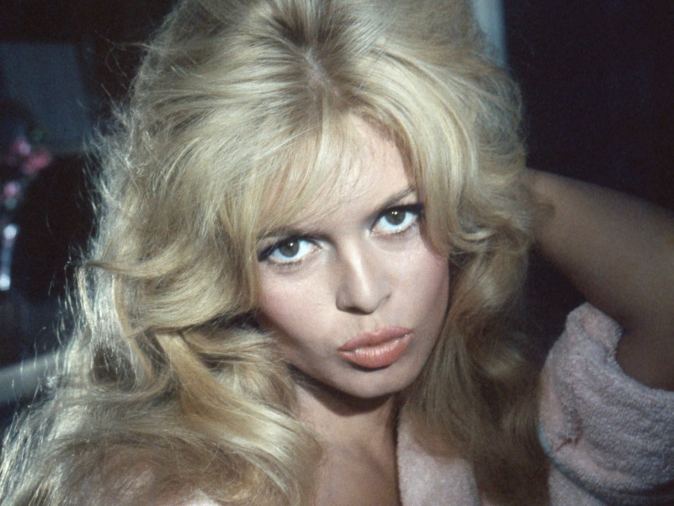Sebelum Meninggal Dunia, Aktris Prancis Brigitte Bardot Sempat Dirawat di RS