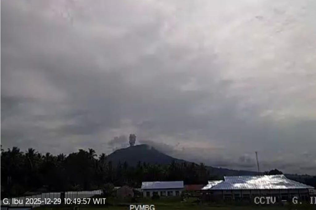 Gunung Ibu Meletus Hari Ini, Kolom Abu Capai 500 Meter dari Puncak