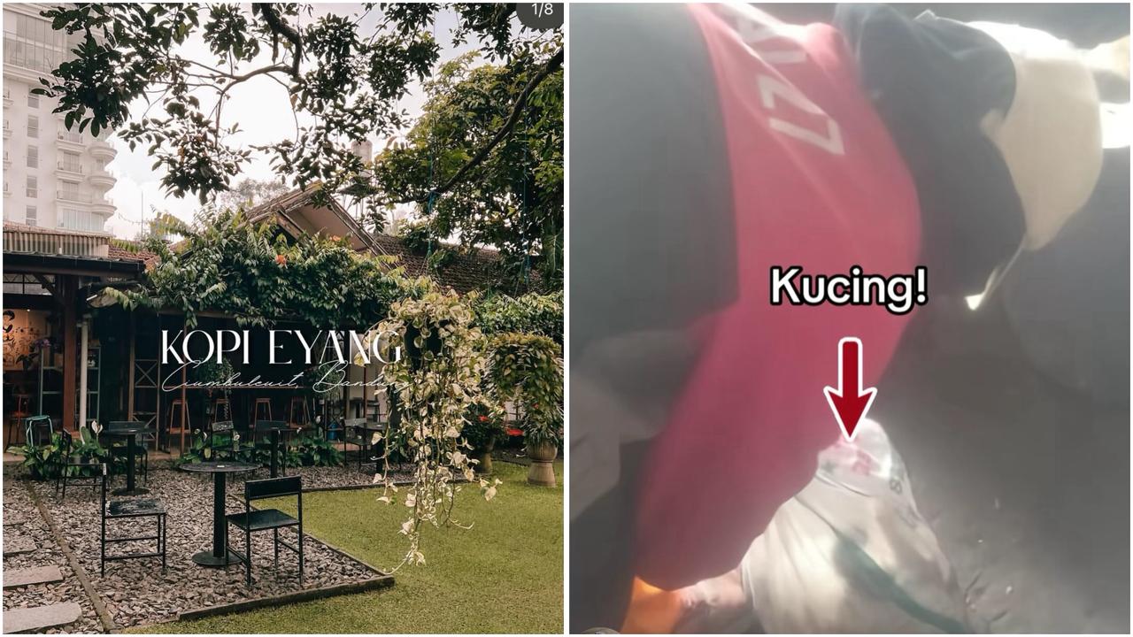 Terungkap! Ini Alasan Kafe Eyang Bungkus Kucing dalam Karung dan Dibuang Hidup-Hidup