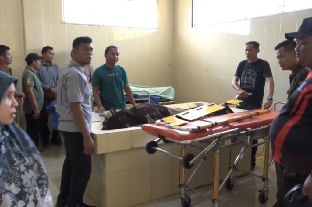 Identitas 2 Korban Tewas Kecelakaan Mobil Bank di Pelalawan, Pegawai BPR Dana Amanah