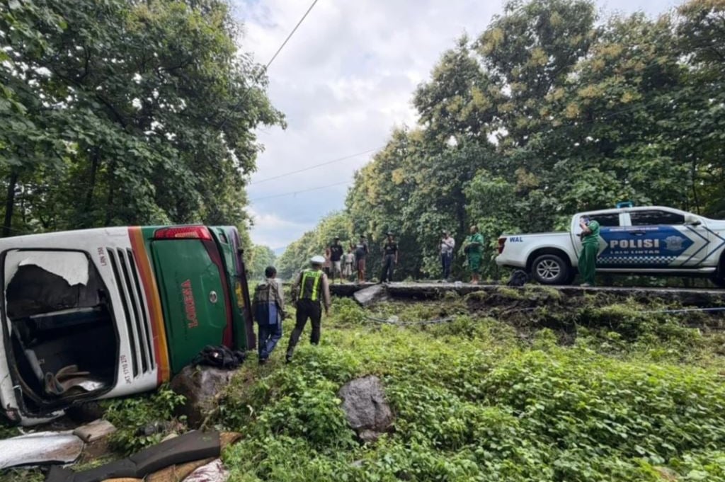 Kecelakaan Bus Terbalik di Taman Nasional Baluran Situbondo, 5 Penumpang Luka-Luka