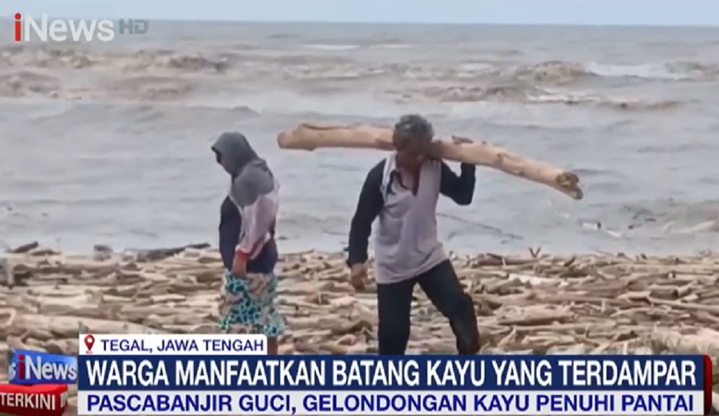 Pascabanjir Bandang Lereng Slamet, Pantai Larangan Tegal jadi Lautan Kayu