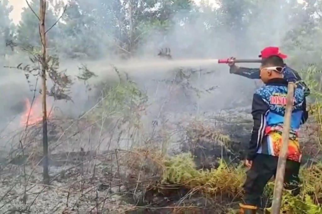 Kebakaran Lahan Gambut di Palangka Raya, Petugas Berjibaku Padamkan Api selama 2 Hari
