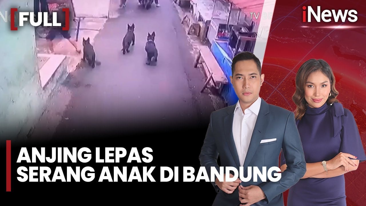 Detik-Detik Bocah 4 Tahun Diserang Lima Anjing di Cibuntu Bandung