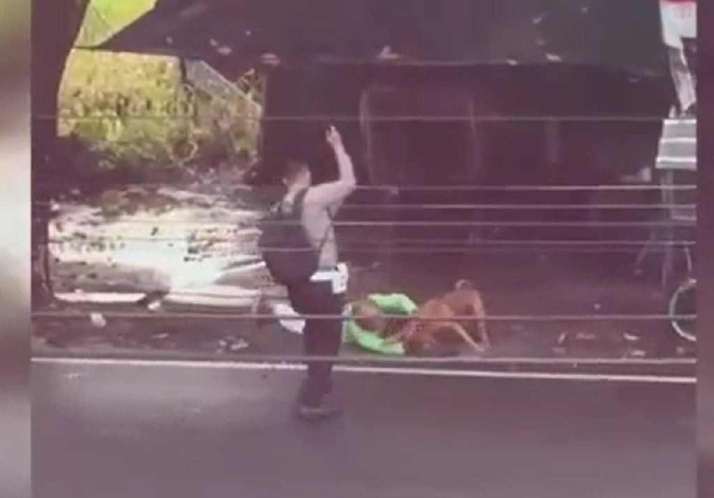 Aksi Heroik Polisi di Lampung Tolong Warga dari Serangan Anjing Pitbull