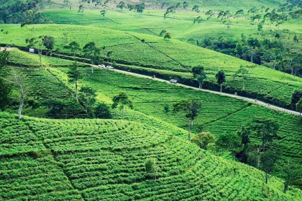 5 Tempat Wisata di Karanganyar: Ada Kebun Teh Menakjubkan!