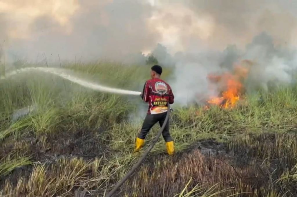 Kebakaran Lahan 2,5 Hektare di Palangka Raya Kalteng, Petugas Berjibaku Padamkan Api