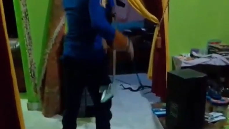 Ngeri! Dengar Suara Berdesis, Warga Metro Panik Ternyata Kobra Sembunyi di Bawah Ranjang