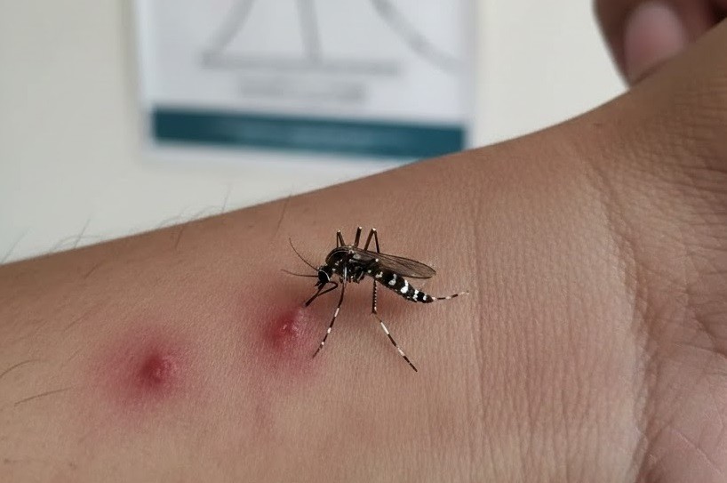 Indonesia Cetak Rekor Terendah Kematian DBD