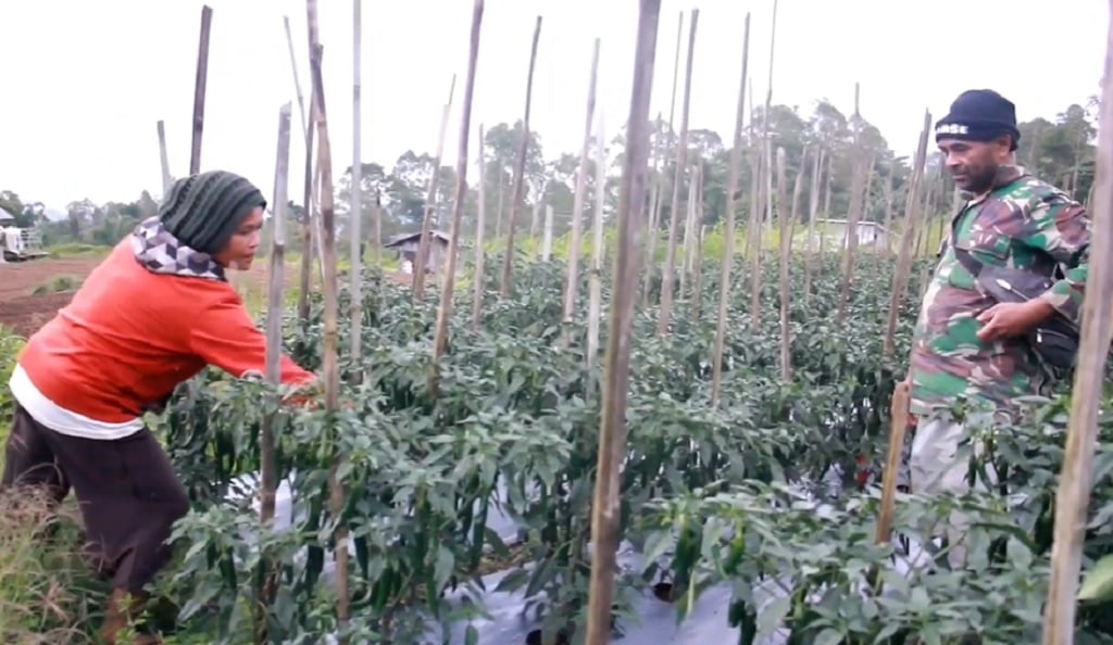 Petani di Manggarai NTT Semringah Hasil Pertanian Lokal Diserap MBG