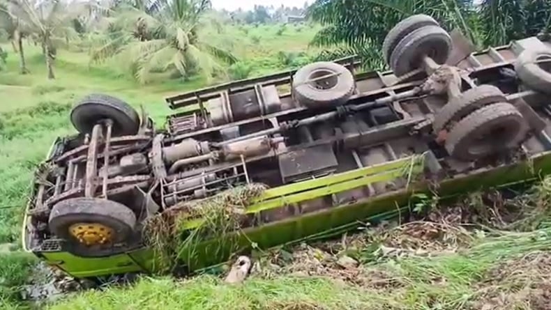 Kecelakaan Maut di Lampung, Sopir Kelelahan hingga Truk Hilang Kendali dan Terguling di Rawa