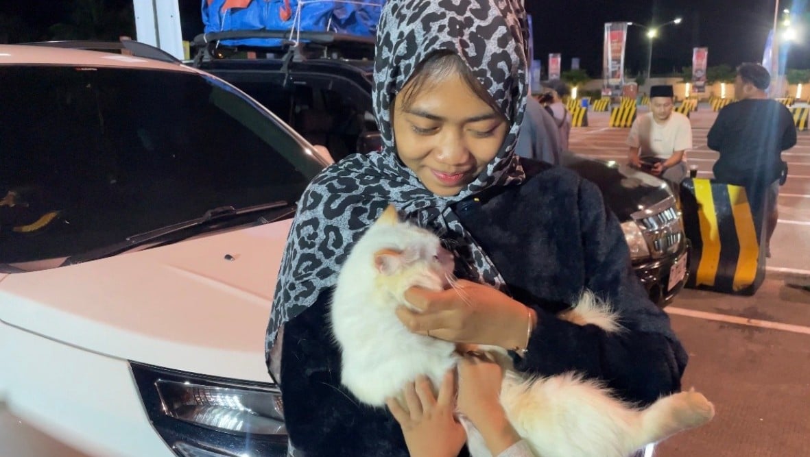 Pemudik Ini Bawa Kucing Kesayangan Naik Kapal dari Merak ke Jambi, Alasannya Bikin Haru