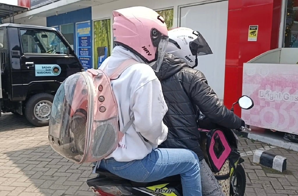 Cerita Unik Mudik Lebaran 2026: Pemudik asal Bogor Bawa 2 Kucing Naik Motor ke Purbalingga
