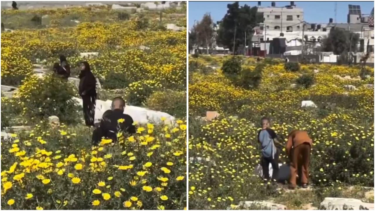 Viral Pemakaman di Gaza Jadi Taman Bunga, Ini Fotonya!