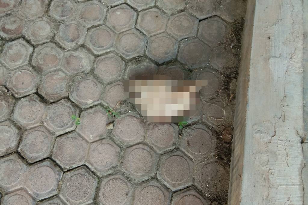 Keluarga Pegiat Media Sosial Palti Hutabarat Diteror Bangkai Kepala Anjing