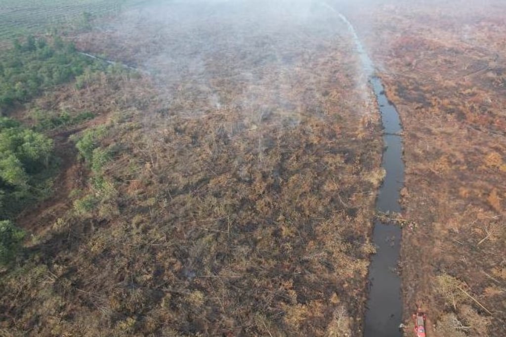 Karhutla Riau Meluas, 900 Hektare Lahan Terbakar